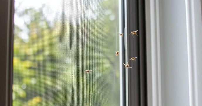 Tela Mosquiteiro em Alum&iacute;nio: Prote&ccedil;&atilde;o Eficiente Contra Insetos