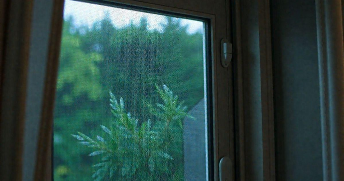 Como escolher a melhor tela janela contra pernilongo para sua casa