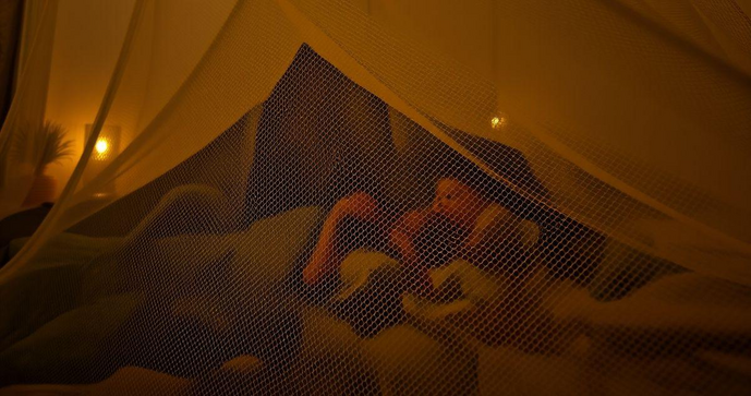 Tela anti mosquito: prote&ccedil;&atilde;o eficaz contra insetos indesejados